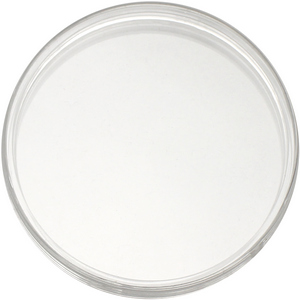 Regular Fitted Capsule Only 5oz [Add $2.50]